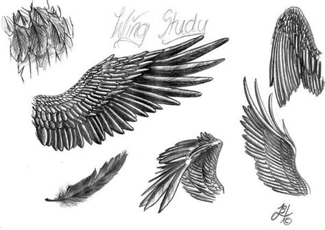 Pin By Aaronmusicfish On How To Draw Animals Wings Tattoo Wings