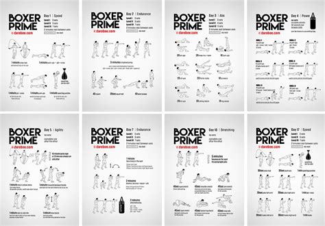 Boxer Prime In Boxing Workout Boxer Workout Boxing Training Workout