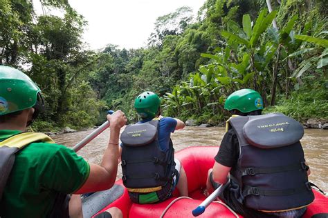Full Day Private White Water Rafting Ayung River And Ubud City Tour