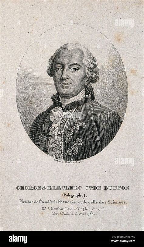 Georges Louis Leclerc Comte De Buffon Stipple Engraving Stock Photo