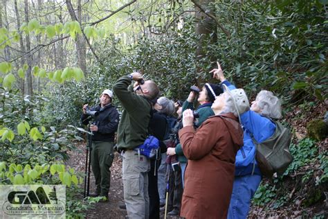 Its A Bird Its A Plane Its A Birding Hike During A Grandfather