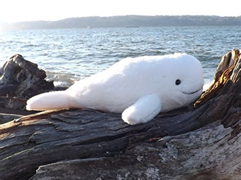 This Place Is A Zoo Beluga Whale Plush Toy Animal 10 Stuffed Beluga