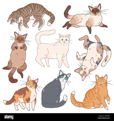 Cartoon Cats Cute Kittens Different Colours Funny Lazy Cat Adorable