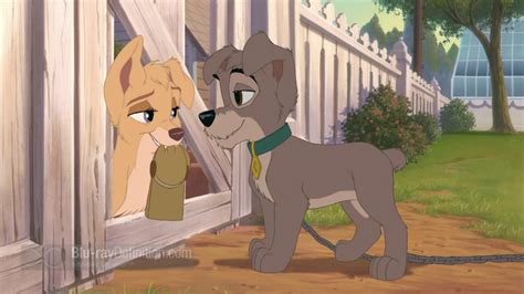 Lady And The Tramp Ii Scamps Adventure Special Edition Blu Ray