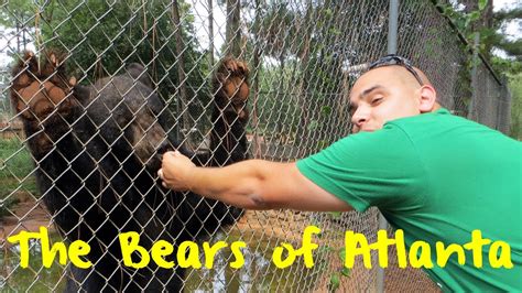 The Bears Of Atlanta Youtube