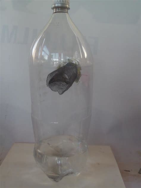 The best video performance of the floating card trick out there. Dead End Mosquito Traps - DIY (do-it-yourself) video below ...