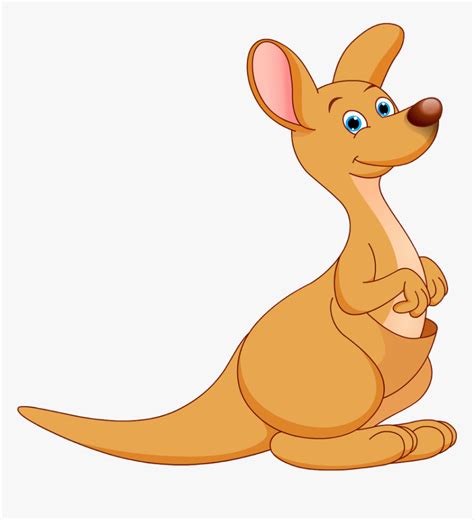 Orange Clipart Kangaroo Cartoon Picture Of A Kangaroo Hd Png