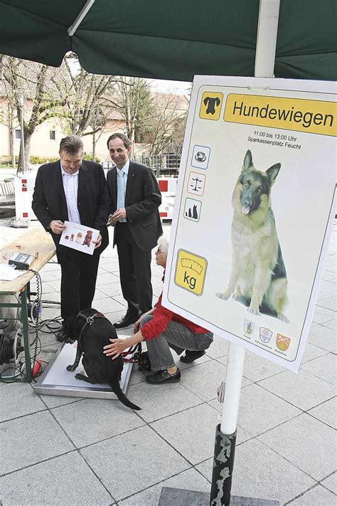 Entdecke jetzt die bunte welt der smileys! „Du bist ein dummer Hund!" - N-LAND
