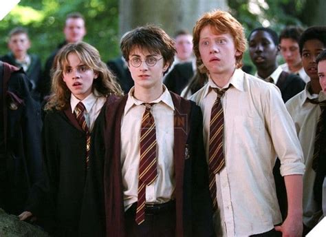 Cuộc đời Của Các Nhân Vật Harry Potter Sau Trận Chiến Với Chúa Tể Hắc