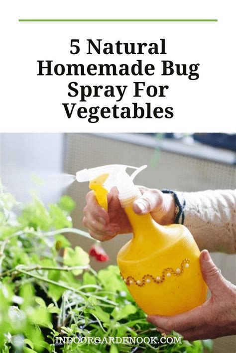 How To Make Natural Homemade Bug Spray For Vegetables Homemade Bug
