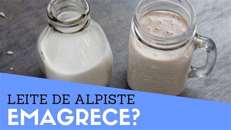 Benefícios do mastruz para sistema imunológico: Leite de Alpiste Emagrece? |O Que É Leite de Alpiste e ...