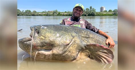 See The Monster Catfish Nearly The Size Of A Cargo Van That Was