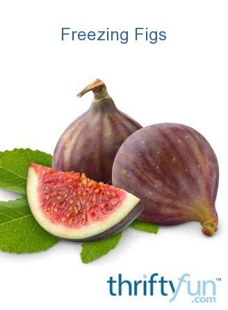 When they are ripe, they tend to split quickly which makes it difficult to. Freezing Figs | ThriftyFun