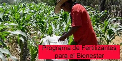 Programa De Fertilizantes Para El Bienestar Requisitos