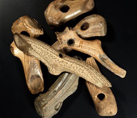 Antler Axes Came From A Stone Age Dwelling Site Ca 6500 2200 Bc