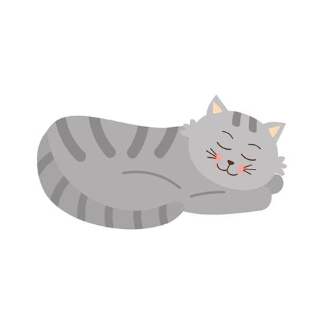 Premium Vector Cute Sleeping Gray Tabby Cat Home Pet Vector Illustration