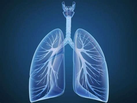 New Bronchoscopic Option Used For Severe Emphysema