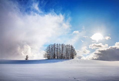 Winter Story In Hokkaido Mild Seven Hill Of Biei美瑛 Hokkaido In