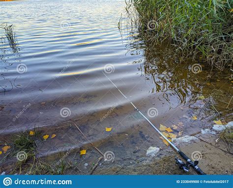 Fishing On The River Bank Stock Photo Image Of Angling 233049900