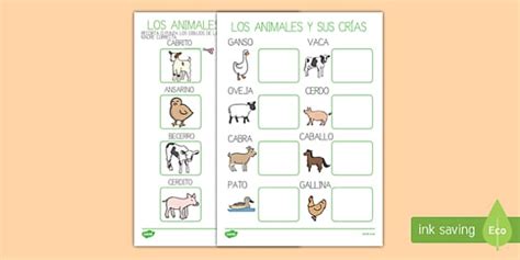 Los Animales Y Sus Crías Actividad De Emparjear Spanish