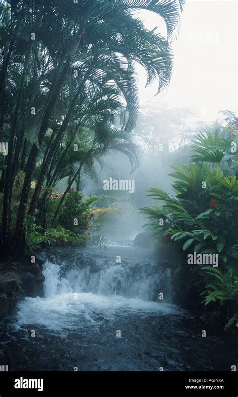 Rainforest Costa Rica Stock Photo Alamy