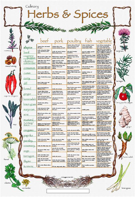 Herbs And Spices And Their Uses Chart