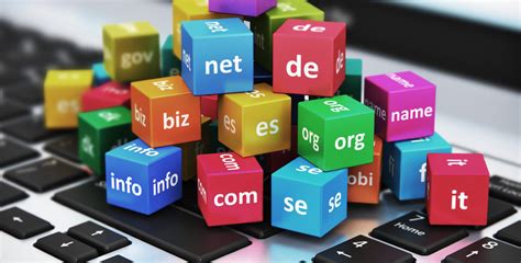 What Are The Different Types Of Domains