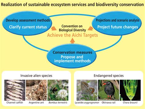 Biodiversity Division｜organization｜national Institute For Environmental