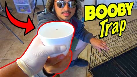 10 Crazy Pranks You Can Own People With April Fools Day Pranks Nextraker Youtube