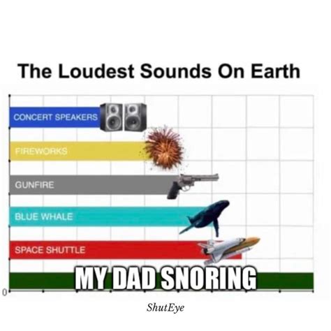 Best Snoring Memes Of 2023 Shuteye
