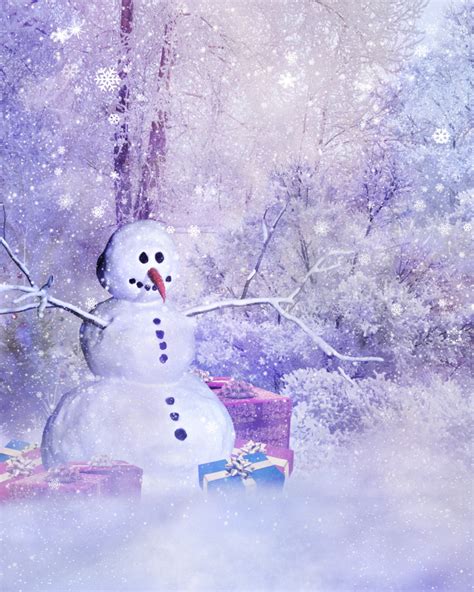 Elegant Winter Wonderland Background Images