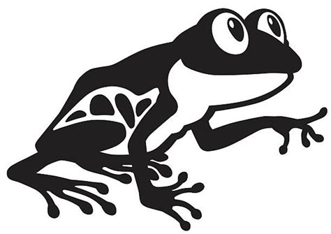 Royalty Free Red Eyed Tree Frog Clip Art Vector Images And Illustrations