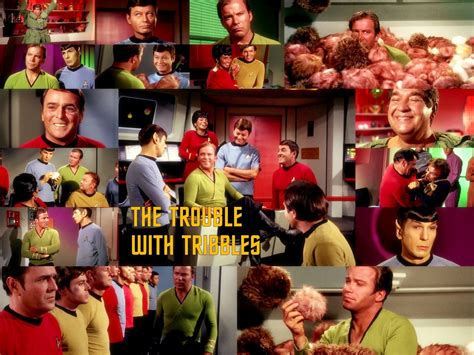 The Trouble With Tribbles Tribbles Wallpaper 17999522 Fanpop