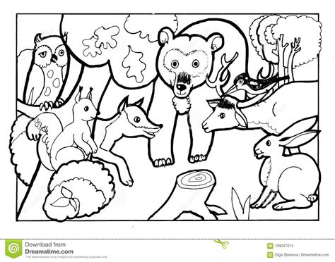 Forest Animals Coloring Bookcoloring Book Page Black And White
