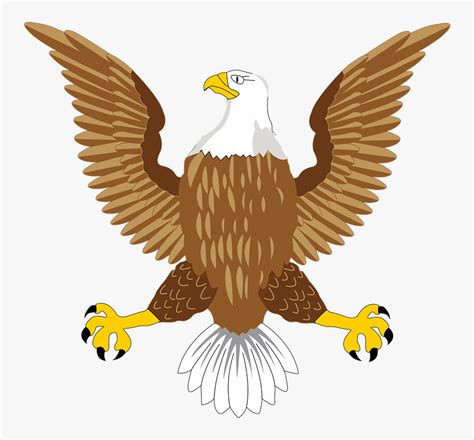 Bald Eagle National Usa Symbol Bird American Usa Bald Eagle