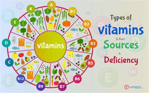 Types Of Vitamins And Their Sources And Deficiency Dashtech My XXX