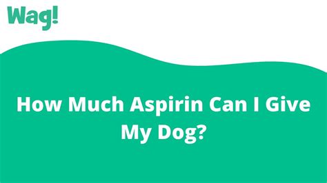 How Much Aspirin Can I Give My Dog Wag Youtube