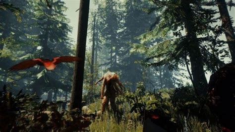 The Forest Releases For The Ps4 In November