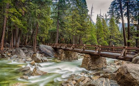 Yosemite National Park California Usa Forest River Wooden Bridge Stones