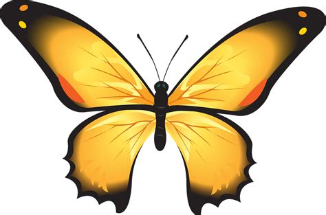 378 gambar gambar gratis dari gambar kupu kupu pixabay gambar sketsa kupu kupu beserta pemandangan, 30 04 2019 kami memberikan kumpulan gambar untuk diwarnai dalam berbagai kategori dan salah satunya adalah kategori hewan silahkan lihat koleksi gambar sesuai dengan tema. Gambar Kupu Kupu Warna Kuning - Inspirasi Desain Menarik