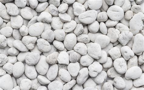 Download Wallpapers White Stones Stone Texture Beach Large