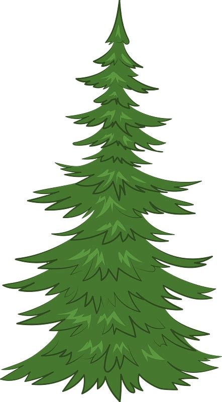Evergreen Tree Clipart Best Clipart Best Images And Photos Finder
