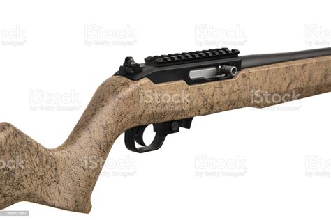 Modern Semiautomatic Smallcaliber 22lr Rifle Sports Carabiner 22lr