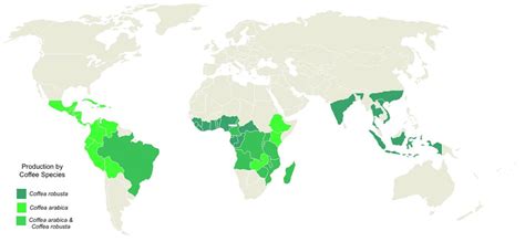 Biggest Coffee Producing Countries Iburu Coffee