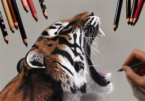 Speed drawing Tiger Jasmina Susak 虎 How to draw a realistic tiger