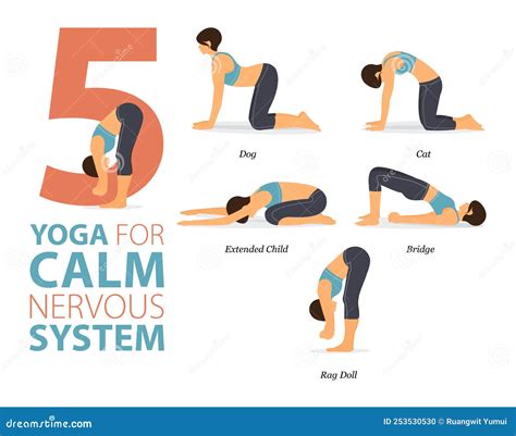 5 Yoga Poses Or Asana Posture For Workout In Nervous System Concept