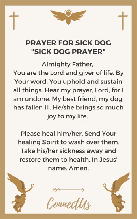 The prophet (peace and blessings of allaah be upon him) was the best of people in attitude. 15 Powerful Prayers for Sick Dog - ConnectUS
