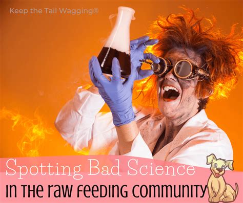 Spotting Bad Science In The Raw Feeding Community K9 Pie