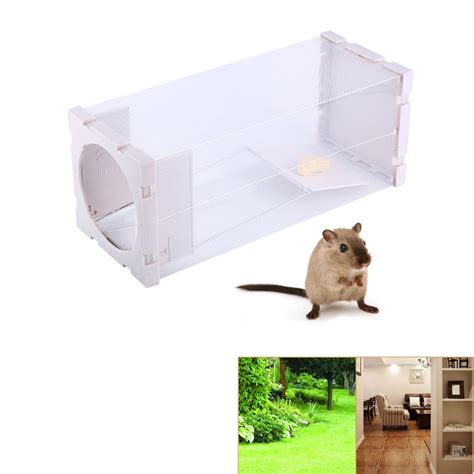 Buy Humane Rat Trap Cage Live Animal Pest Rodent Mice Mouse Control