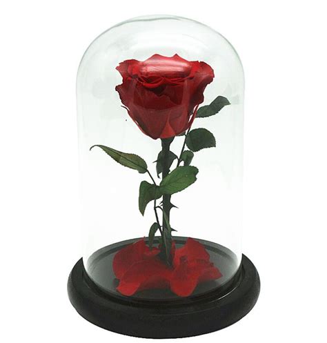 Beauty And The Beast Real Preserved Red Rose Glass Dome ...